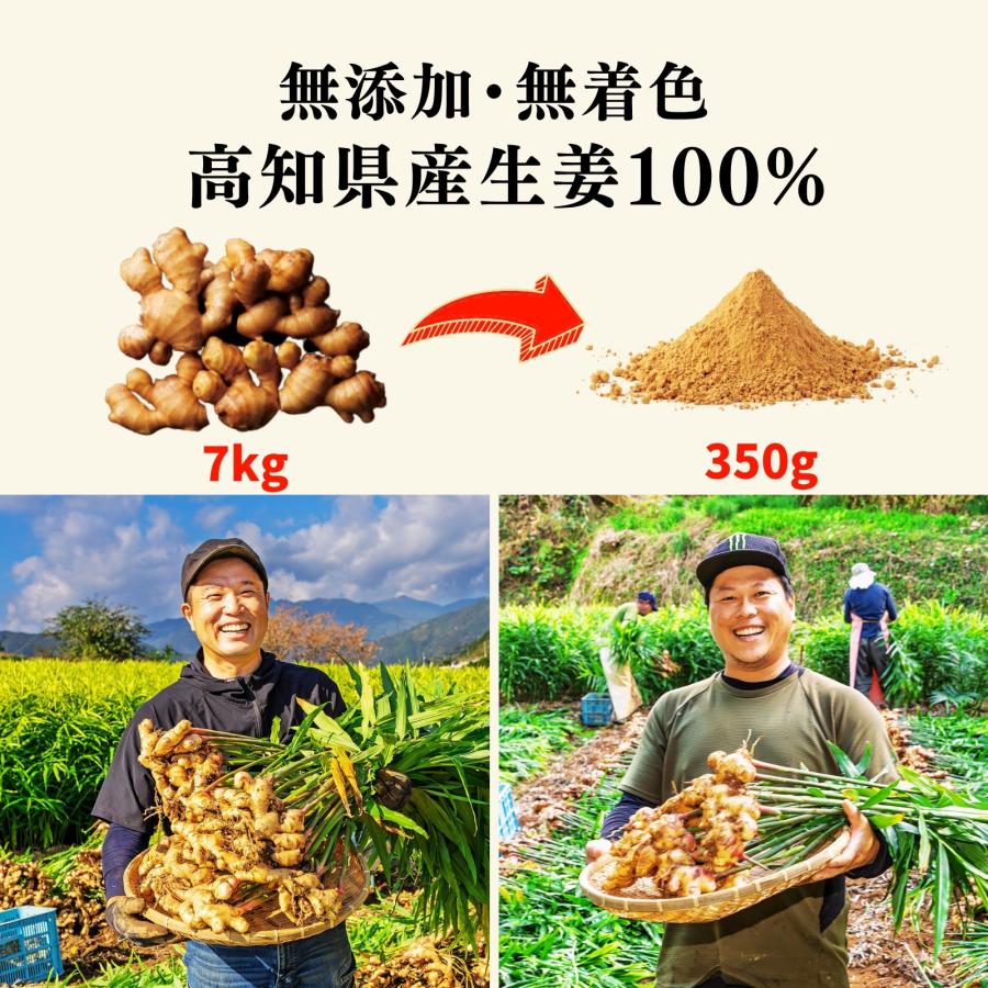 生姜パウダー 国産 業務用 350g 高知県産100% しょうがパウダー 無添加 大容量 粉末しょうが 生姜粉末 ジンジャーパウダー |  | 02