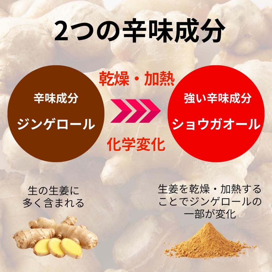 生姜パウダー 国産 業務用 350g 高知県産100% しょうがパウダー 無添加 大容量 粉末しょうが 生姜粉末 ジンジャーパウダー |  | 04