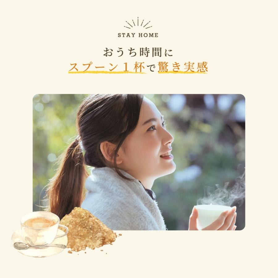 ＼無添加 濃さ450倍！／ クラフトジンジャー パウダー 75g【送料無料】高知県産 生姜パウダー ジンジャーパウダー 生姜粉末 国産 生姜 粉末 乾燥生姜 生姜湯 |  | 05