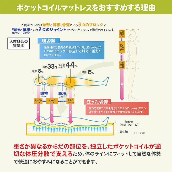 日本製 セレクトオーダー ポケットコイル マットレス セミシングル90 (幅90cm) フレックス Craftia クラフティア 国産 スプリングマットレス オーダーメイド |  | 06