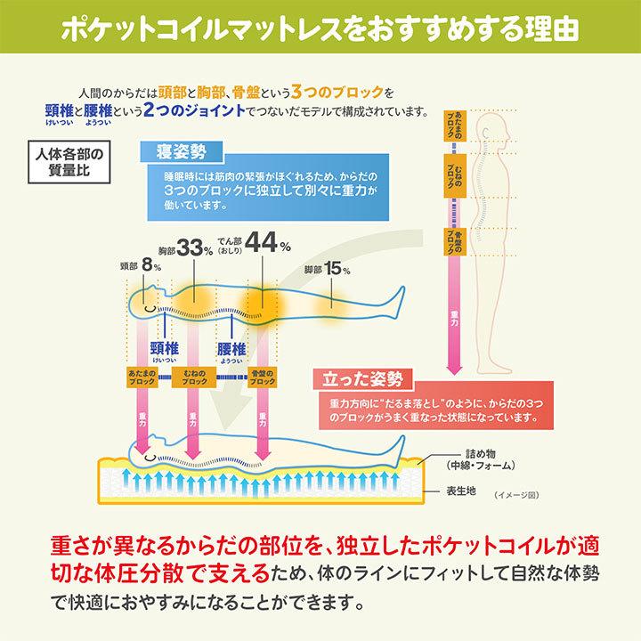 日本製 ポケットコイル マットレス シングル ジュノ Craftia クラフティア 国産 ベッドマットレス ベッドマット｜craftia｜05