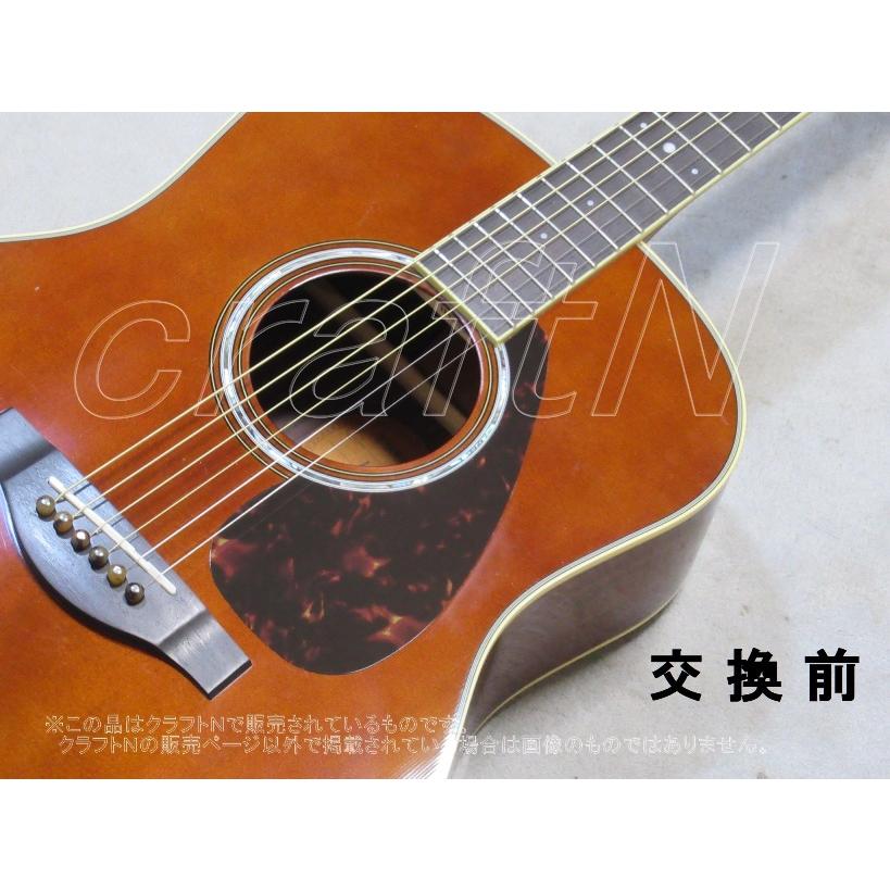 YAMAHA(ヤマハ) LL-6などのティンデットカラーにおすすめの