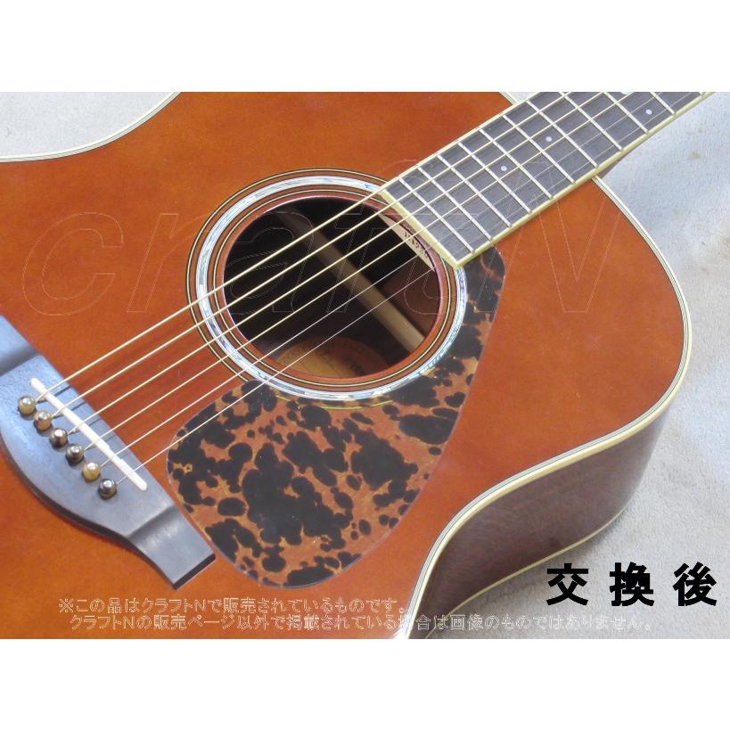 YAMAHA(ヤマハ) LL-6などのティンデットカラーにおすすめの