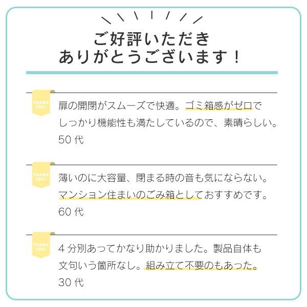 2分別 ダストボックス ゴミ箱 ごみばこ ダンパー付 スリム スチール 日本製 薄型 完成品 分別 収納 おしゃれ 2段 ホワイト 川口工器｜craftpark-k5｜03