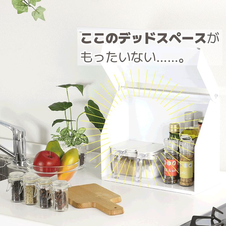 川口工器 ピッタリサイズ の マグネット 棚 燕三条 日本製 スパイス