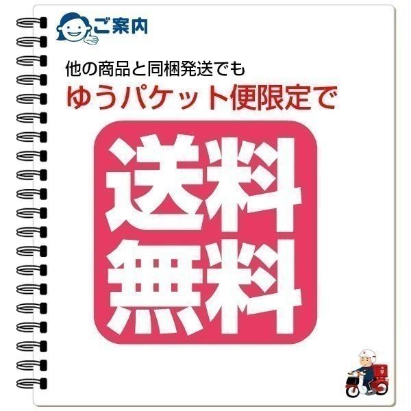 白磁ピルケース2個 Classic Lightweight 4.0 Metallic | Carry-On Business Case
