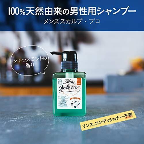 通販 Haru ハル Haru ハル ノンシ スカルプ シトラスミントの香り300ml 3本 100 天然由来 男性用シャンプー メンズスカルプ プロ メンズヘアケア Nachos Se