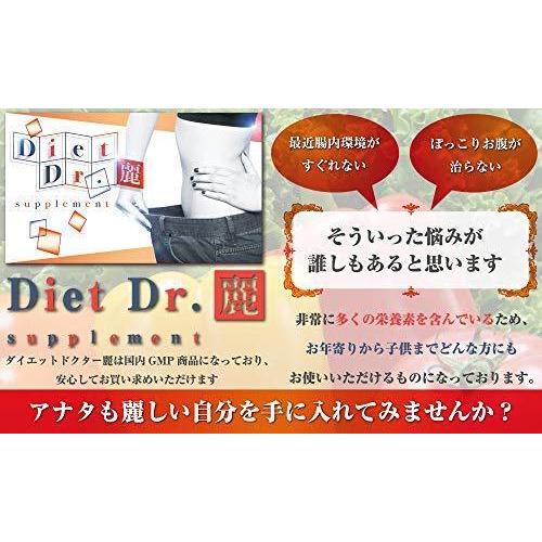 激安特価 ダイエットサプリ 酵素 ダイエットドクター麗 注目ブランド Nitaisevinimataji Com