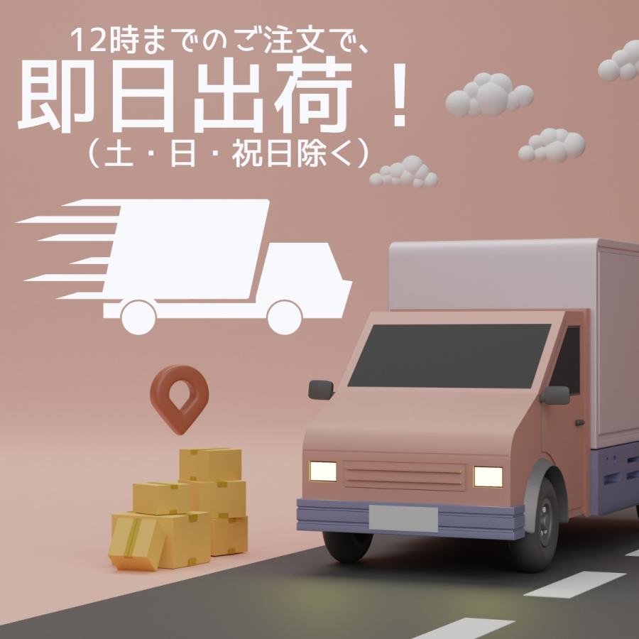 イヤーカフ イヤーカフス イヤカフ 両耳セット 金属アレルギー対応 18K ニッケルフリー ダブルライン パール レディース ジュエリー ゴールド シルバー 送料無料 |  | 13