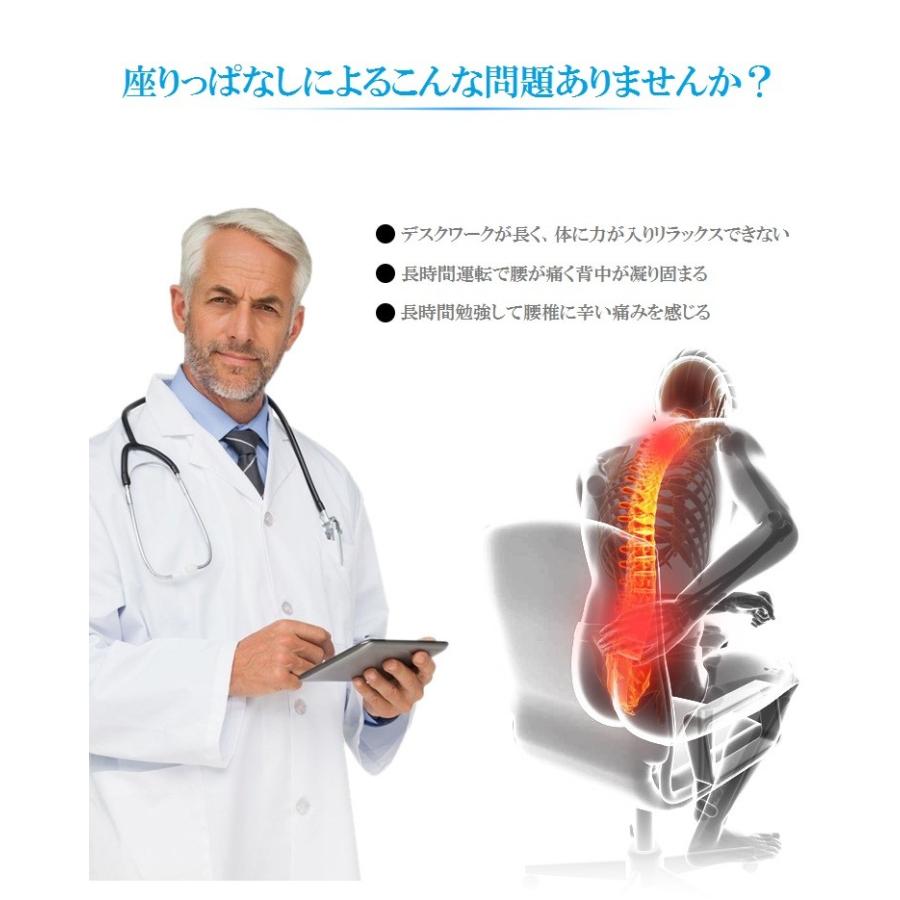 クッション 低反発 ランバーサポート 腰クッション オフィス 椅子 車用 腰枕 背あてクッション RoHS安全基準クリア 取付バンド調節可能 洗える 介護用クッション |  | 02