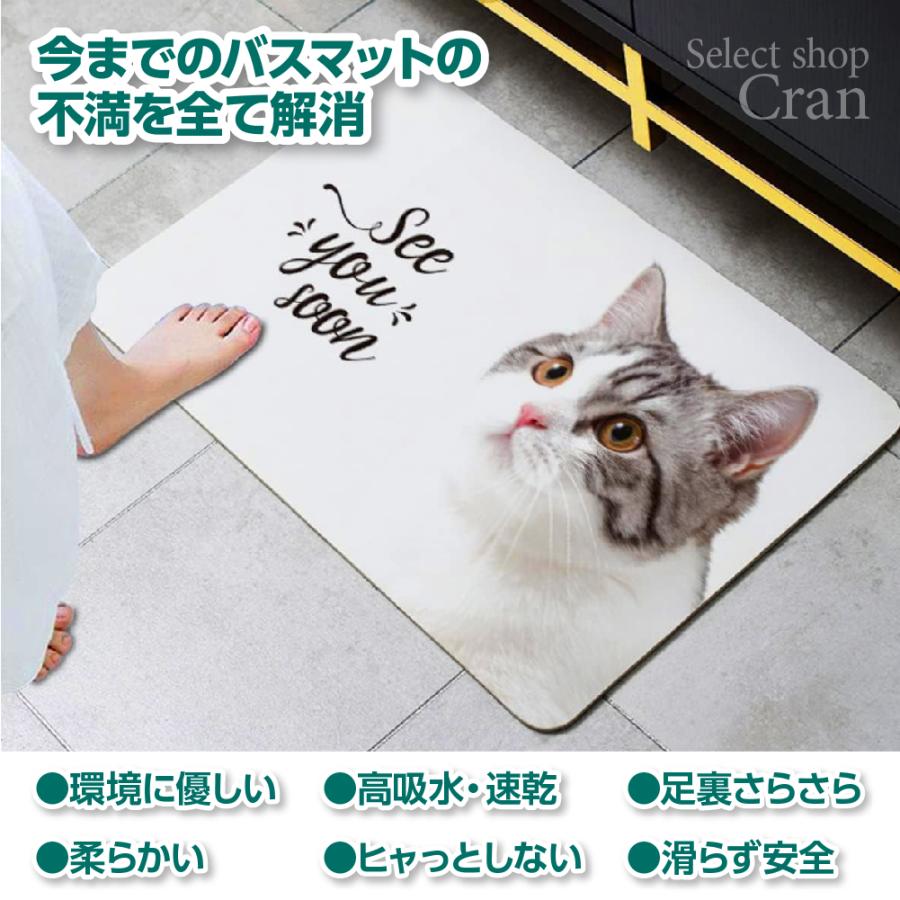 珪藻土 バスマット ソフト 柔らかい ノンアスベスト 珪藻土マット お風呂マット 足ふきマット 吸水 速乾 浴室 お風呂 幅60cm Lサイズ 大判 大きいサイズ 軽い |  | 01