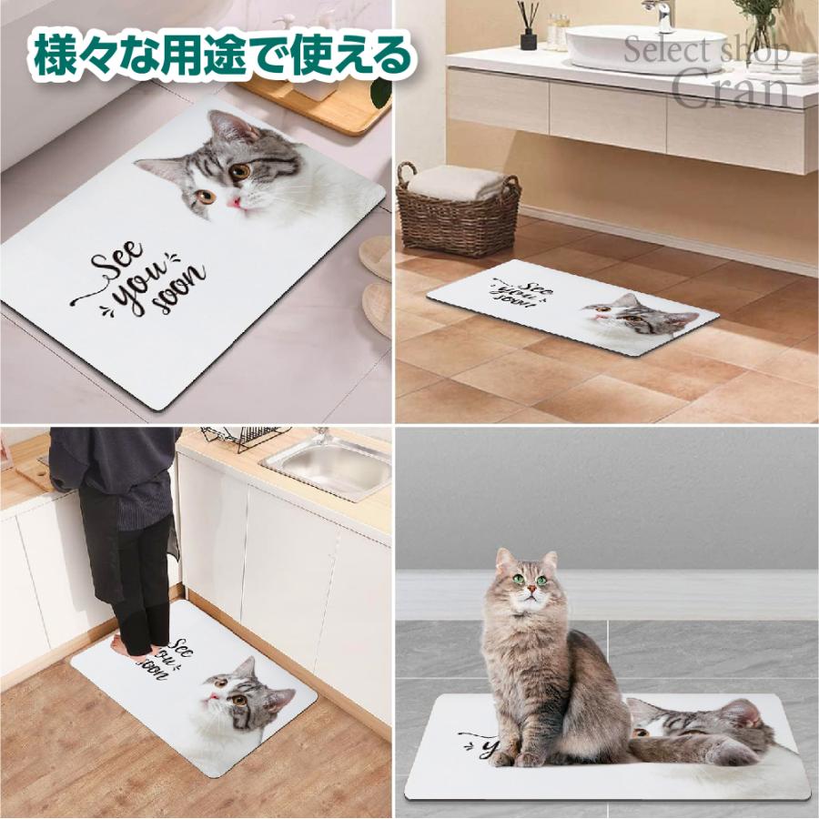 珪藻土 バスマット ソフト 柔らかい ノンアスベスト 珪藻土マット お風呂マット 足ふきマット 吸水 速乾 浴室 お風呂 幅60cm Lサイズ 大判 大きいサイズ 軽い |  | 02