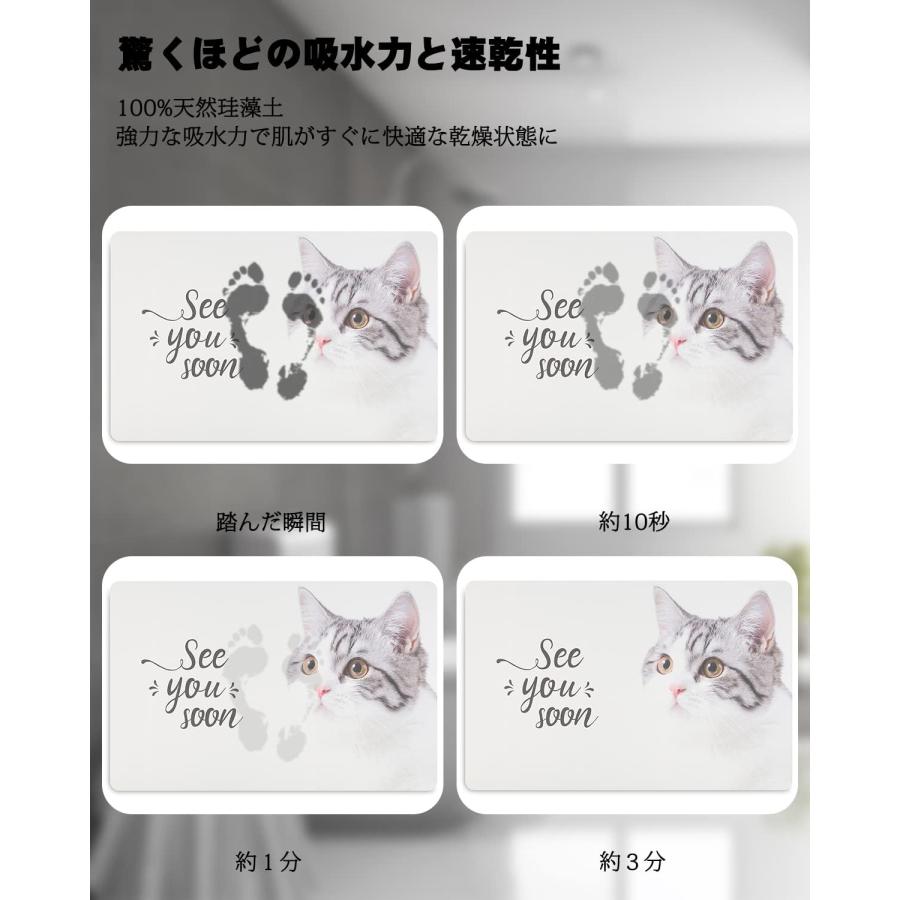 珪藻土 バスマット ソフト 柔らかい ノンアスベスト 珪藻土マット お風呂マット 足ふきマット 吸水 速乾 浴室 お風呂 幅60cm Lサイズ 大判 大きいサイズ 軽い |  | 03