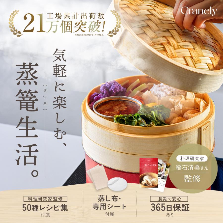 せいろ 一式セット 21cm 本体2段 蓋付き 取扱説明書付き せいろ蒸し器