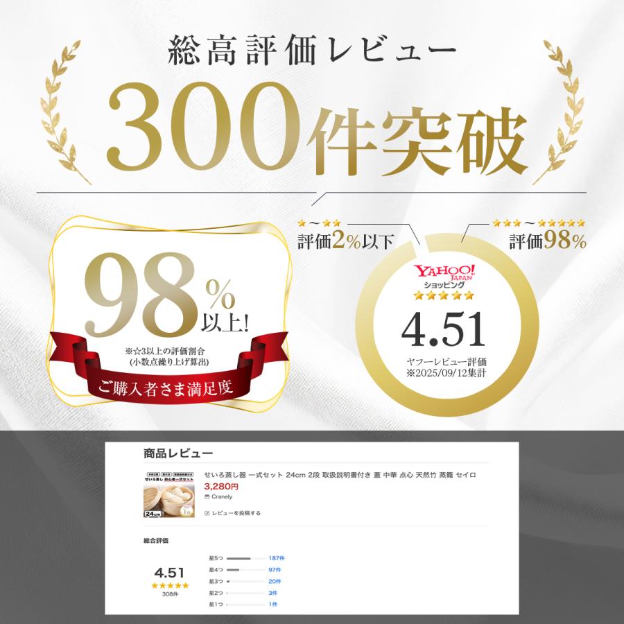 せいろ蒸し器 一式セット 24cm 2段 取扱説明書付き 蓋 中華 点心 天然