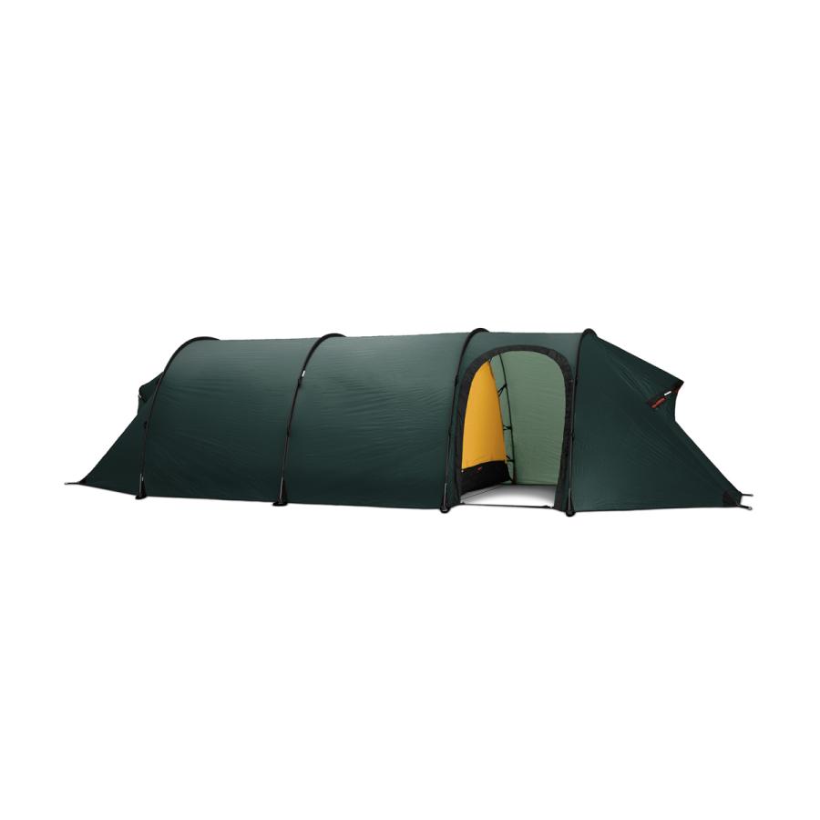 ヒルバーグ　ケロン4GT グリーン HILLEBERG Hilleberg-ヒルバーグ ケロン4GT グリーン 日本正規
