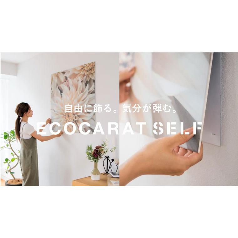 リクシル エコカラットセルフ ECSF-9090M/SLA1N (付替え用) W909