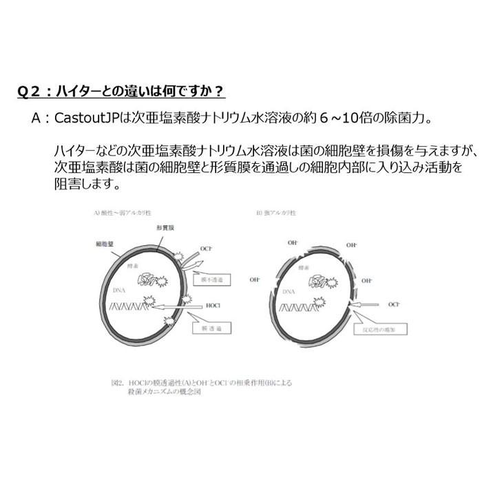 超音波噴霧器 Mx 0 除菌消臭剤 キャストアウトjp 次亜塩素酸水400ppm l 日本nch エヌシーエイチ スピード除菌 ウィルス対策 大容量 空間除菌 Asu Nch Castout Set クラシール 通販 Yahoo ショッピング