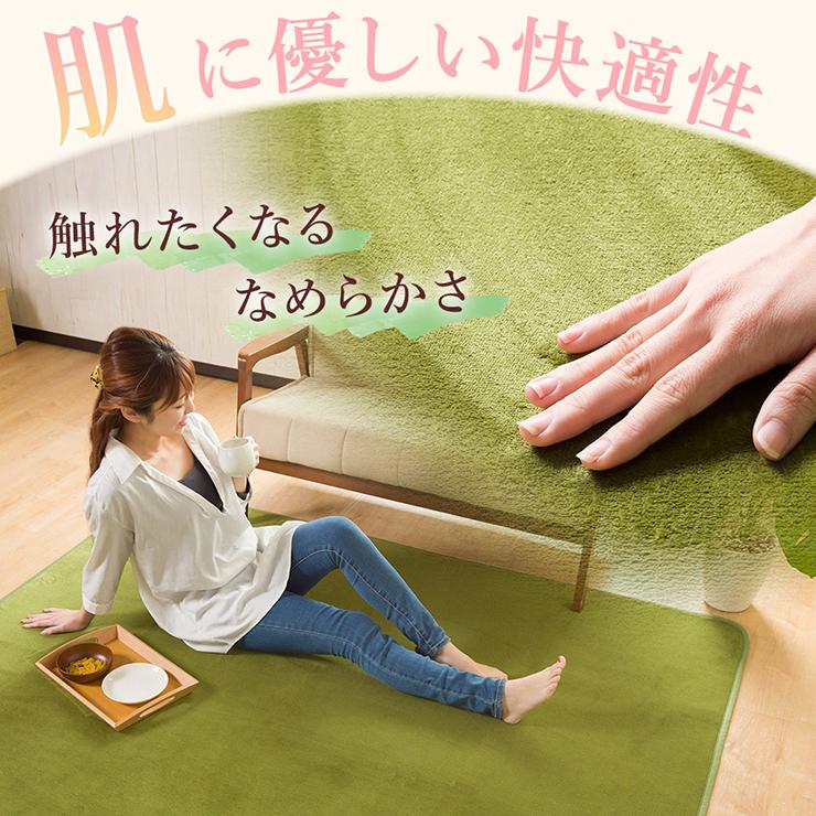 ラグ カーペット 洗える 4畳 おしゃれ オールシーズン 200×300 防ダニ