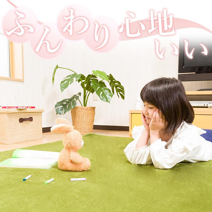 ラグ カーペット 洗える 4畳 おしゃれ オールシーズン 200×300 防ダニ