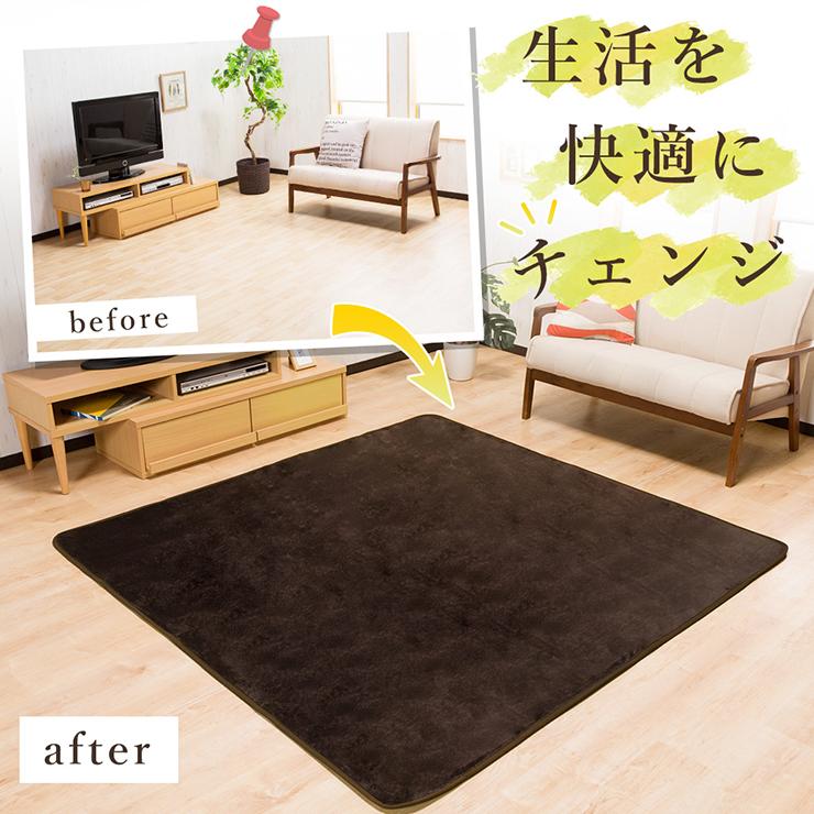 ラグ カーペット 洗える 4畳 おしゃれ オールシーズン 200×300 防ダニ