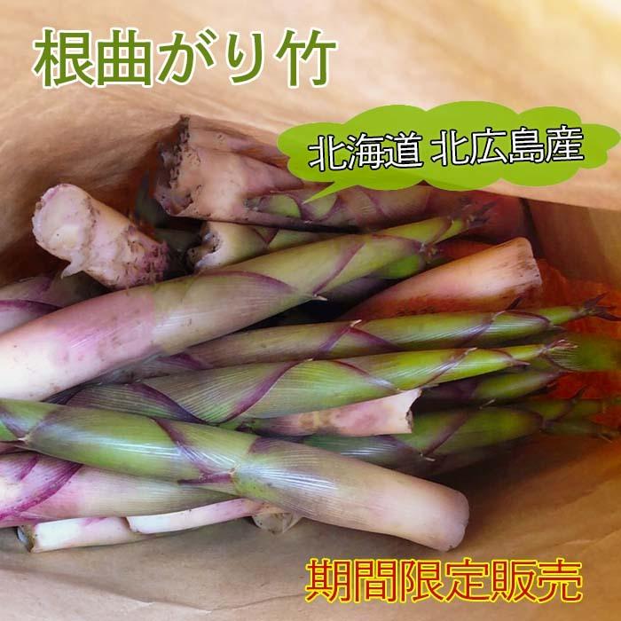 天然】根曲がり竹 北海道産 北広島市近郊 天然物 期間限定 皮付き 生