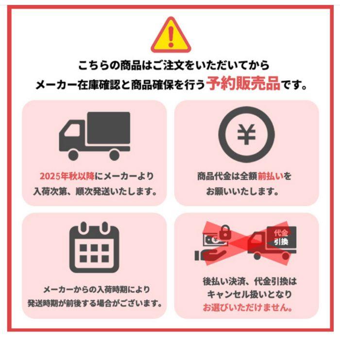 25-26 リボルト ゴーグル 限定 INF REVOLT SUPER LIGHT FRAMEスーパーライトフレーム 平面レンズ 調光 スノーボード SNOWBOARD GOGGLE 予約商品の画像