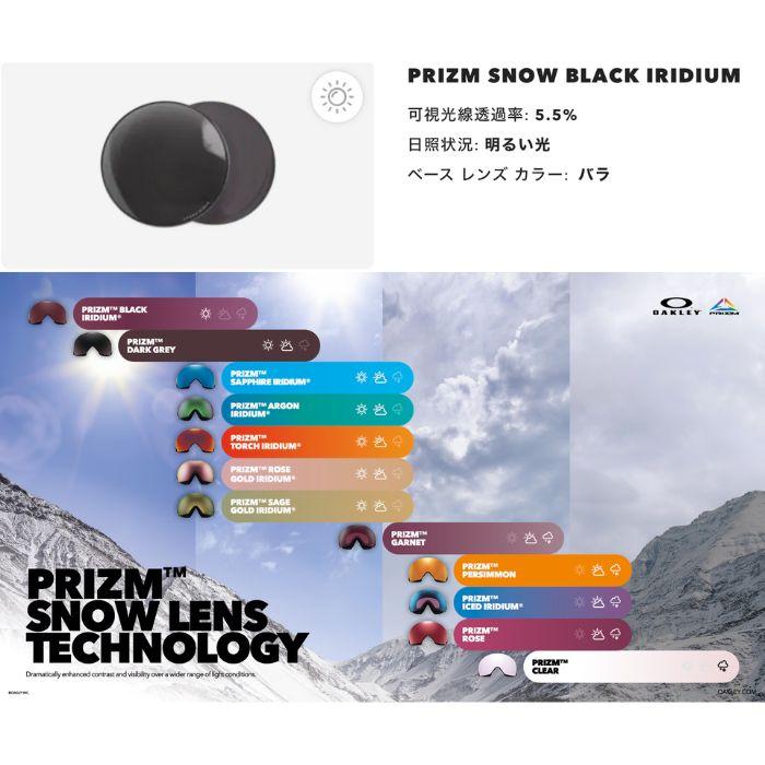 OAKLEY（オークリー） 25-26 OAKLEY ゴーグル スノボー Flow Scape L