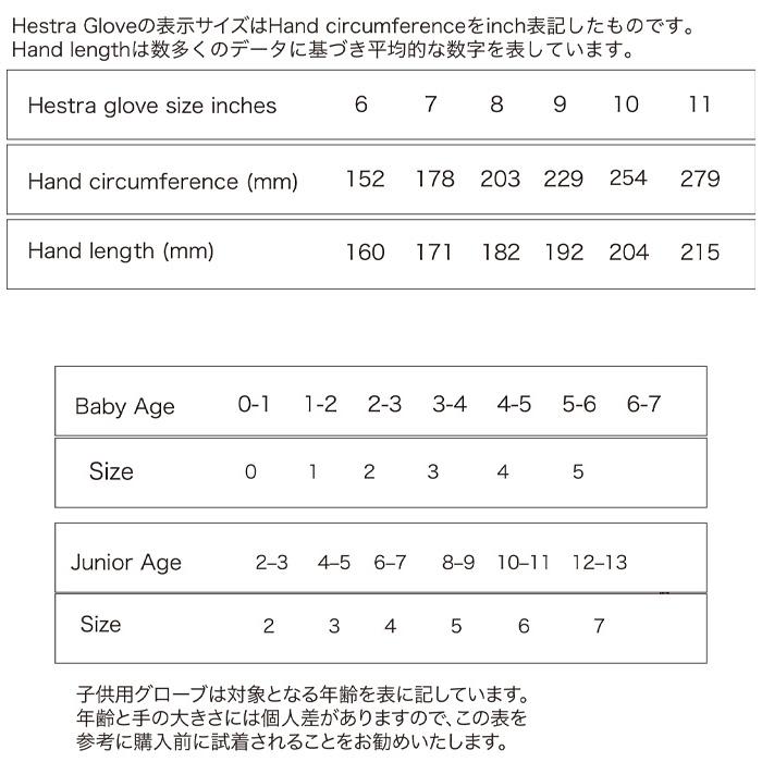 HESTRA（ヘストラ） 24-25 HESTRA グローブ トポ Topo 3-Finger スキー