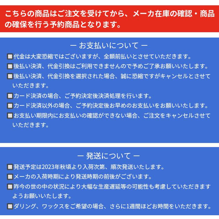 23-24 NOVEMBER ICEROCKER ノベンバー 149cm スノーボード スノボー パウダー パーク フリーライド フリースタイル カービング オールマウンテン メンズ