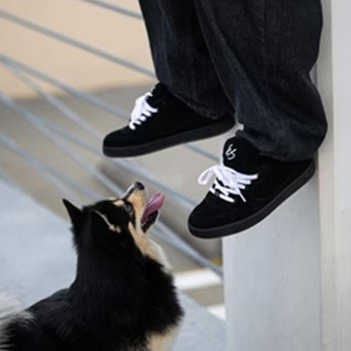 es スニーカー エス スケボー 靴 ACCEL WHITE BLACK BLACK/WHITE