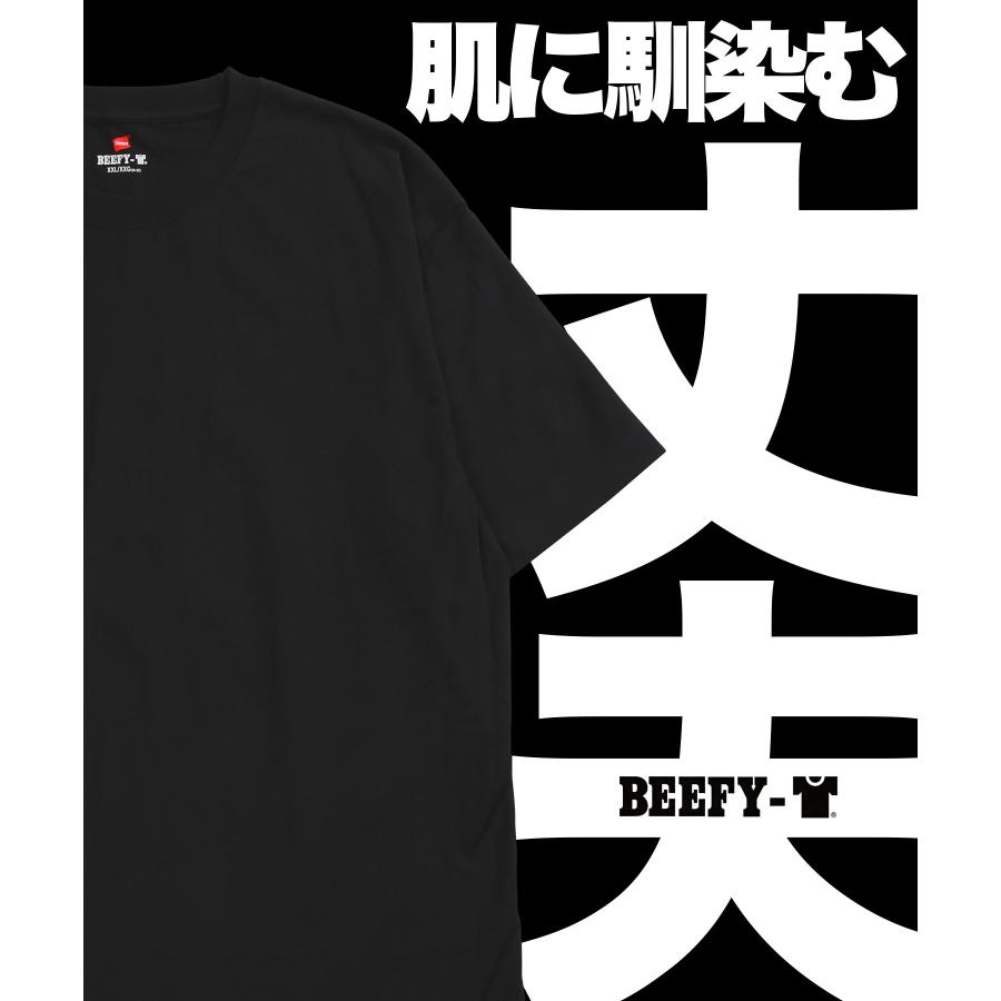 Hanes（ヘインズ） Hanes Tシャツ 2枚セット メンズ 半袖 綿100