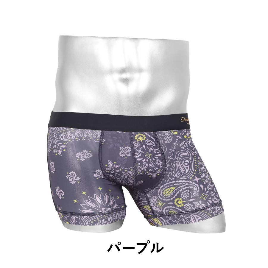 Gravevault（グレイブボールト） ボクサーパンツ メンズ 男性 下着