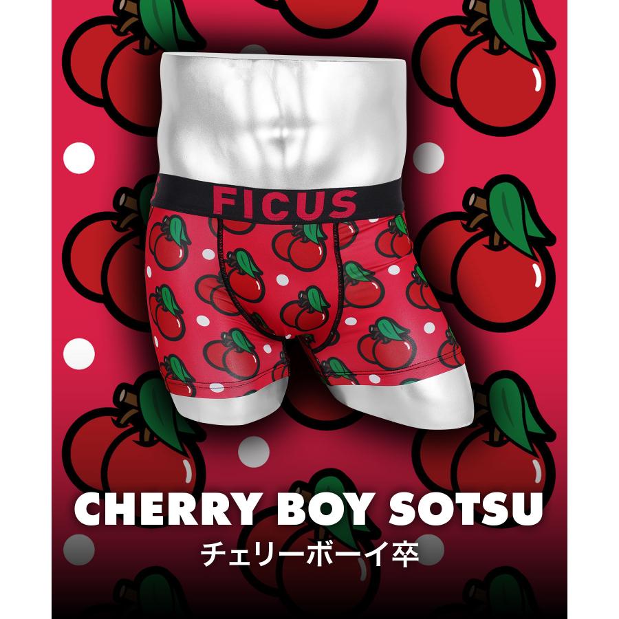 FICUS（フィークス） 新生活 ボクサーパンツ メンズ 下着 紳士 当店