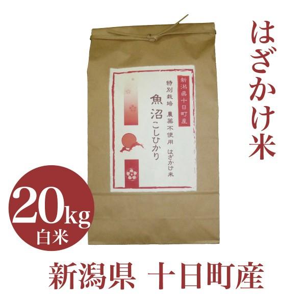 在庫有 米 kg こしひかり 特別栽培 魚沼 コシヒカリ はざかけ米 白米 お米 お中元 御中元 夏ギフト 食べ物 お祝い 最高級 無農薬 送料無料 天日塩 g1袋 プレゼント 柔らかい Www Diocesekabgayi Org