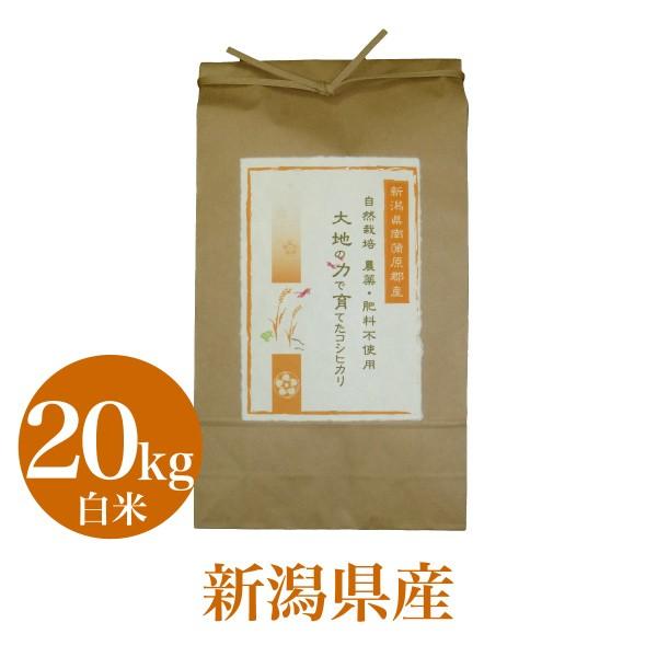 米 お米 20Kg こしひかり 無肥料 無農薬 自然栽培 大地の力で育てた コシヒカリ 令和7年産 白米 農家直送 精米 贈物 のし対応 送料無料 産地直送 お祝い お返し