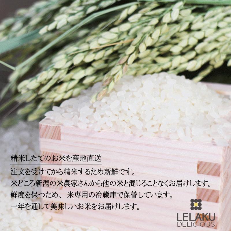 コシヒカリ 米 お米 20Kg こしひかり 無肥料 無農薬 自然栽培 大地の力
