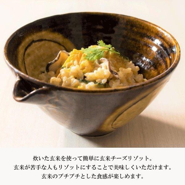コシヒカリ 米 お米 10Kg こしひかり 無肥料 無農薬 自然栽培 大地の力