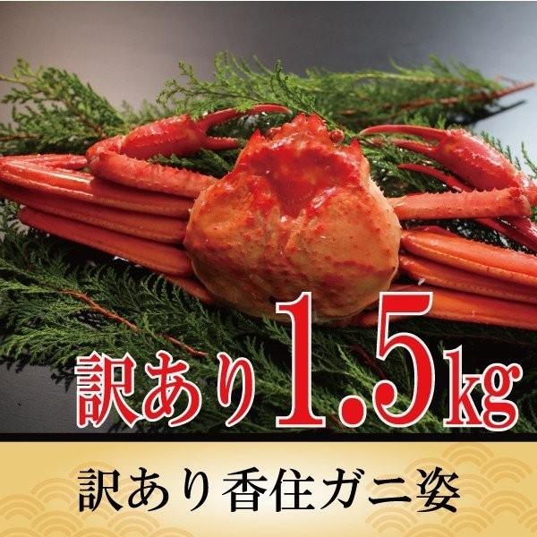 カニ かに 蟹 訳あり 紅ズワイガニ 訳あり 香住ガニ 約1.5kg  約500g 3杯 ベニズワイガニ ボイル 海鮮 送料無料 国産 お取り寄せ お祝い お礼 食べ物 春ギフトの画像