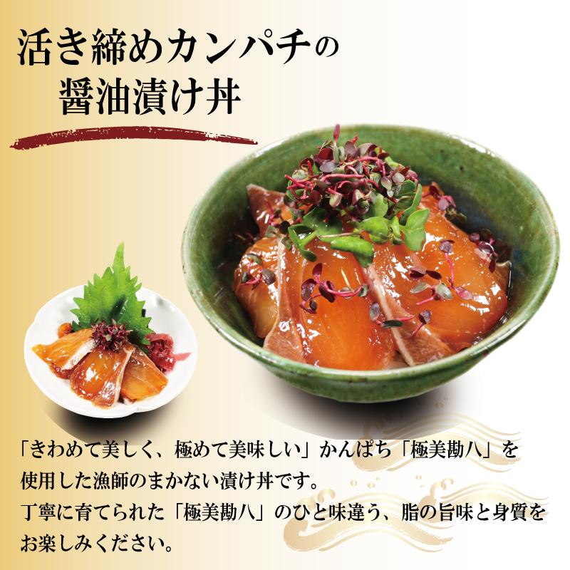 父の日 海鮮丼 漬け丼 高知 海鮮丼の具 4種 5袋 セット 漬け魚 父の日 海鮮丼 漬け丼 高知 海鮮丼の具 4種 5袋 セット 漬け魚