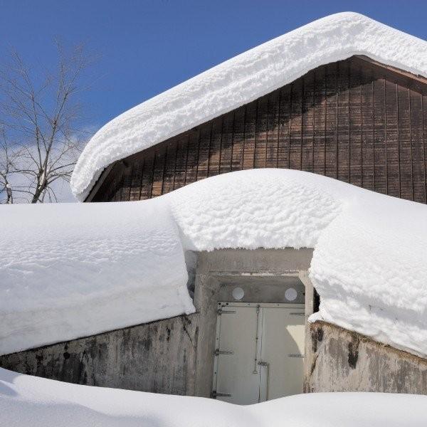 お中元 御中元 豚ロース味噌漬 雪室 熟成 黄金豚ロース味噌漬 ６枚 贈り物 プレゼント お取り寄せ グルメ 人気 越後雪室屋 国産 豚肉 お祝い お礼 お返し Ymbm 6g Lelaku Delicious 通販 Yahoo ショッピング