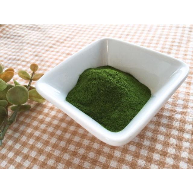 ほうれん草パウダー 80g 石川ファーム /無農薬 :10006:Crea(クリエ) - 通販 - Yahoo!ショッピング ほうれん草パウダー 80g 石川ファーム /無農薬 :10006:Crea(クリエ) - 通販 - Yahoo!ショッピング