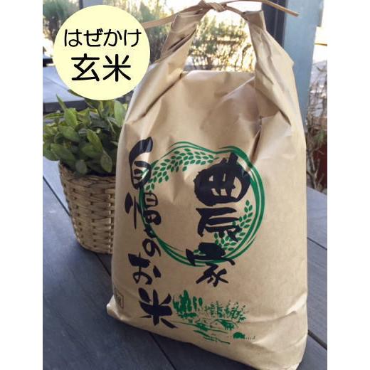 はぜかけ玄米10kg (天日干し・自然乾燥) 石川ファーム自然栽培米/無