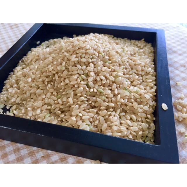 はぜかけ玄米10kg 　(天日干し・自然乾燥)　石川ファーム自然栽培米/無農薬　R5年米｜crea193｜02