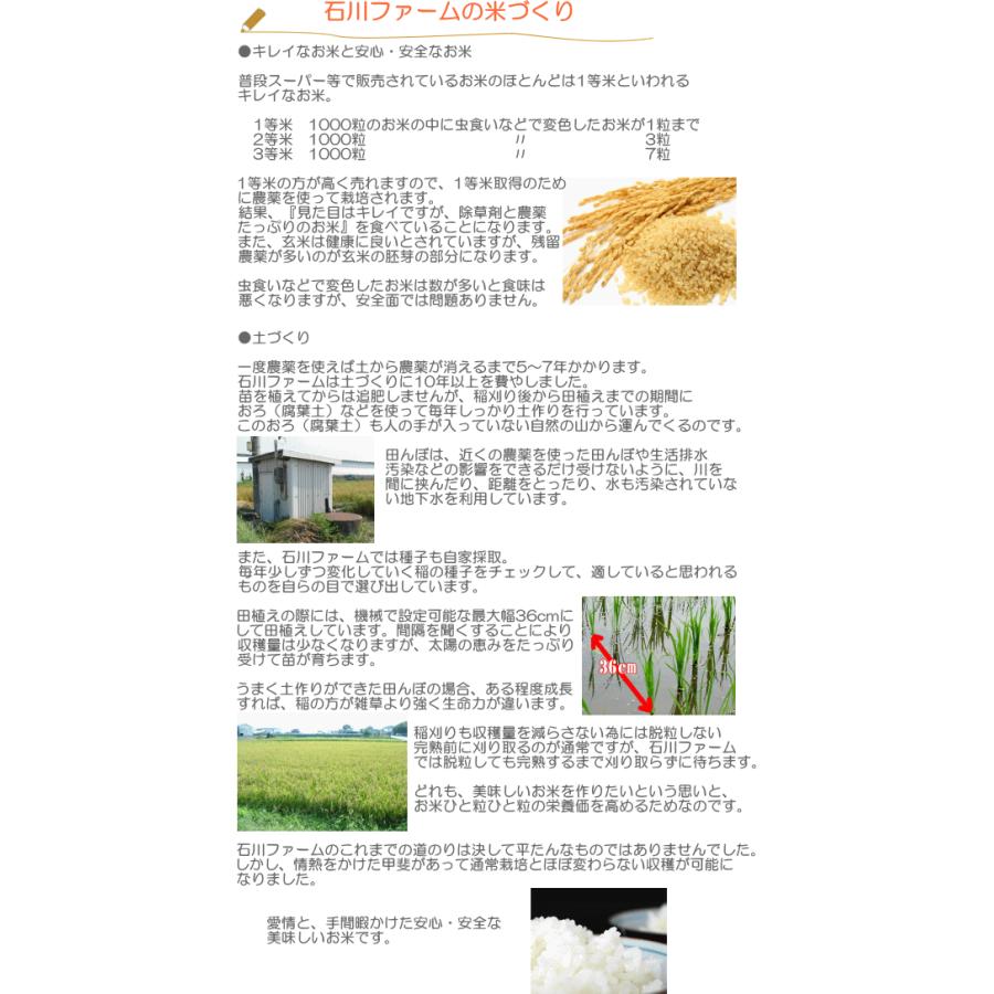 はぜかけ玄米10kg 　(天日干し・自然乾燥)　石川ファーム自然栽培米/無農薬　R5年米｜crea193｜04