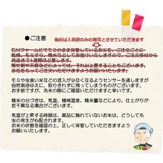 はぜかけ玄米10kg 　(天日干し・自然乾燥)　石川ファーム自然栽培米/無農薬　R5年米｜crea193｜05