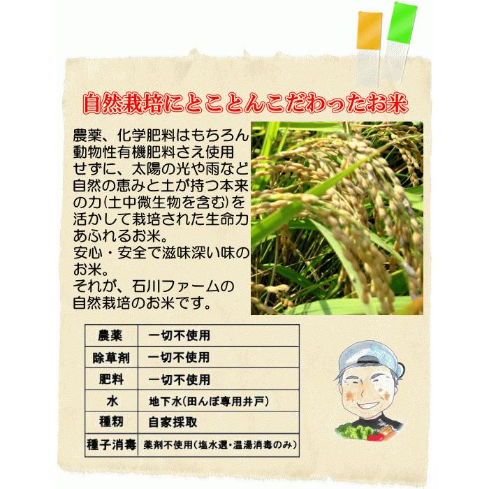 はぜかけ玄米10kg 　(天日干し・自然乾燥)　石川ファーム自然栽培米/無農薬　R5年米｜crea193｜06