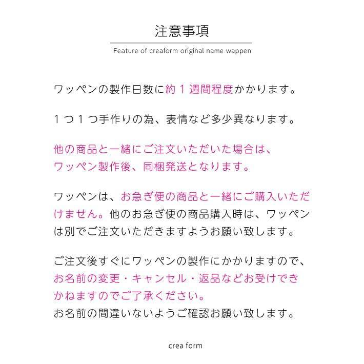 お名前ワッペン 3枚セット ワッペン お名前シール 名前シール アイロン キャラクター 入園 お名前シール入学 簡単 名入れ Wappen アイロンスタンプのクレアフォーム 通販 Yahoo ショッピング