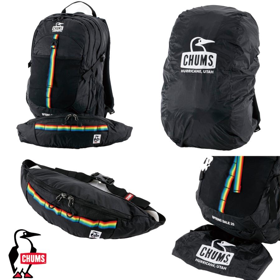 CHUMS（チャムス） CHUMS正規品 スプリングデール25(デイパック