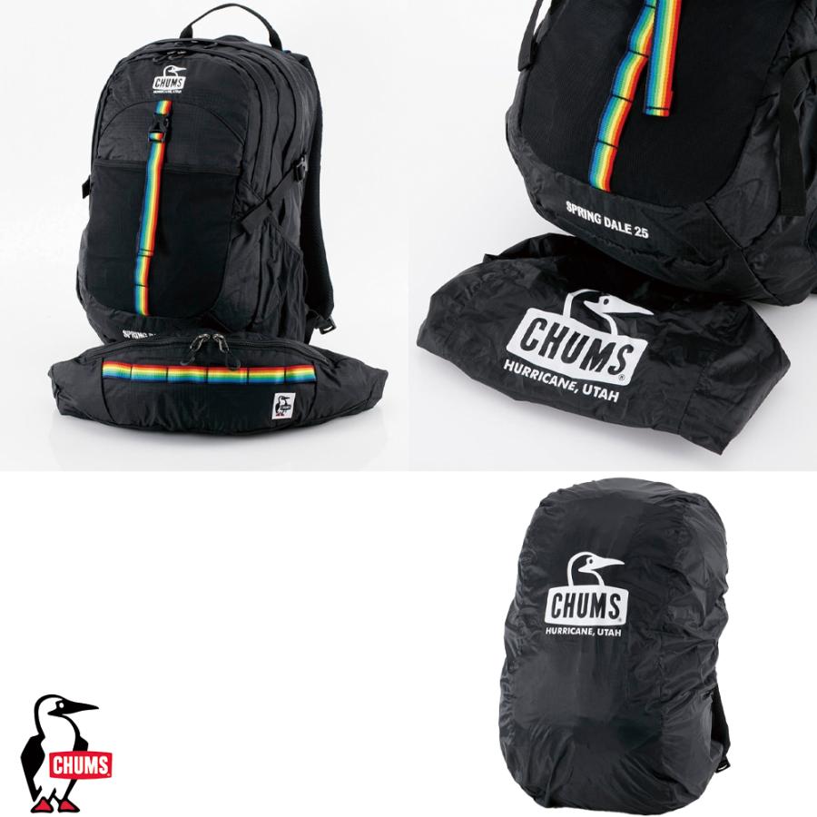 CHUMS チャムス CHUMS正規品 スプリングデール25(デイパック｜リュック  
